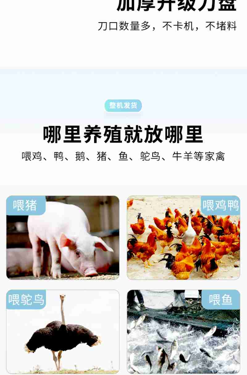 游客体验鼓山宋代茶宴 东南网记者 陈楠 摄